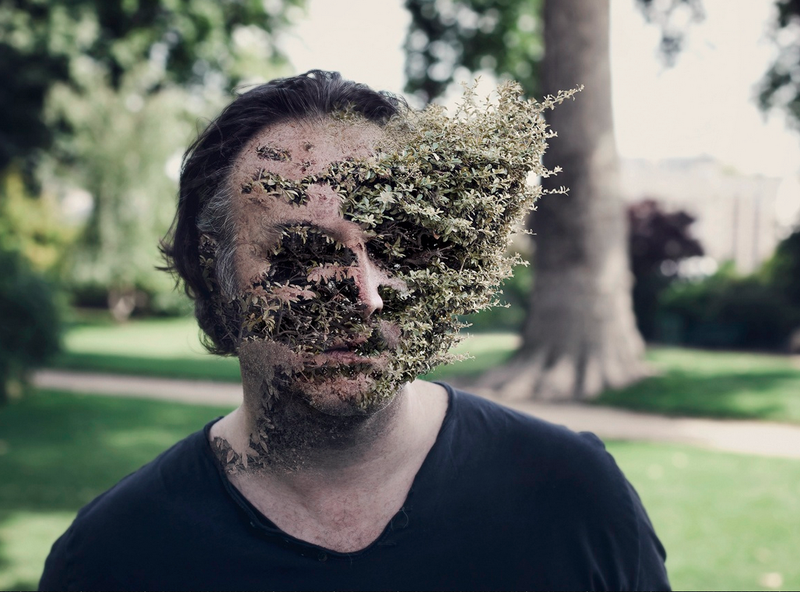 Illustration for article titled Creepy photoshopped portraits of human-plant hybrids